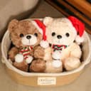 Product carousel Indicator